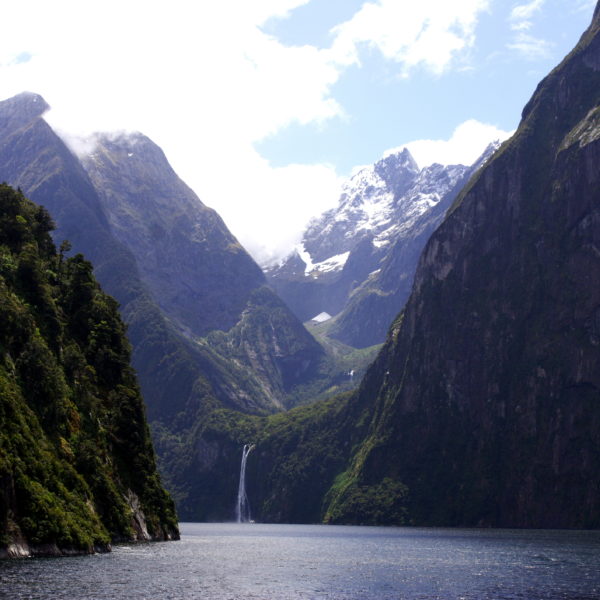 January 16February 3, 2025 New Zealand & Australia Cruise with extra